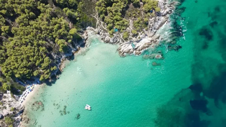 ჰალკიდიკი